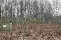 Land for sale in Wexford County, Michigan