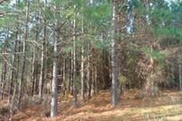 Land for sale in Mecklenburg County, Virginia