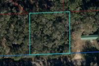 Homesite for sale in Levy County, Florida