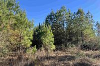 Land for sale in Santa Rosa County, Florida
