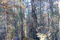 Lakefront Property for sale in Monroe County, Alabama