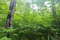 Recreational Property for sale in Clare County, Michigan