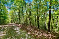 Land for sale in Gilmer County, Georgia