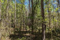 Land for sale in Alachua County, Florida