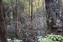 Land for sale in Rabun County, Georgia