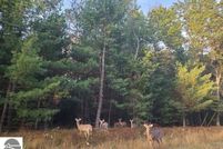 Land for sale in Arenac County, Michigan