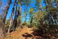 Land for sale in Lake County, Florida