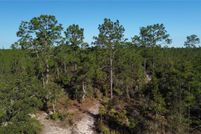 Timberland Property for sale in Levy County, Florida