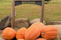 Land for sale in Pine County, Minnesota