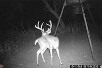 Land for sale in Brown County, Texas