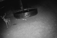 Farm and Ranch for sale in Mills County, Texas