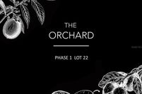 Land for sale in Alachua County, Florida