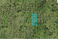 Undeveloped Land for sale in Polk County, Florida