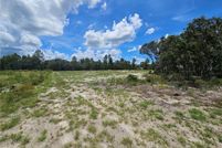 Land for sale in Levy County, Florida