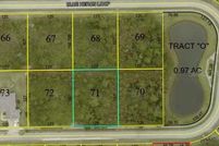 Undeveloped Land for sale in Flagler County, Florida