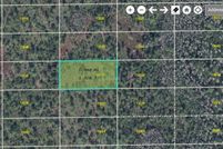 Undeveloped Land for sale in Orange County, Florida