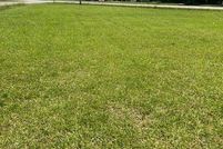 Land for sale in Southampton County, Virginia