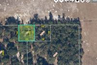 Undeveloped Land for sale in Orange County, Florida