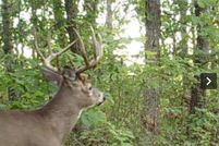 Land for sale in Polk County, Wisconsin