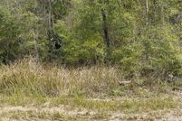 Land for sale in Pasco County, Florida