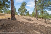 Land for sale in Lincoln County, New Mexico