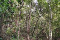 Homesite for sale in Dixie County, Florida