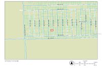 Undeveloped Land for sale in Marion County, Florida