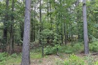 Timberland Property for sale in McCurtain County, Oklahoma