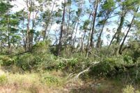 Undeveloped Land for sale in Highlands County, Florida