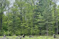 Timberland Property for sale in Grand Traverse County, Michigan