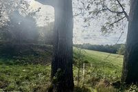 Land for sale in Claiborne County, Tennessee