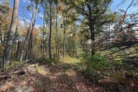 Land for sale in Langlade County, Wisconsin