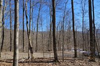 Undeveloped Land for sale in Pocahontas County, West Virginia