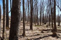 Land for sale in Pocahontas County, West Virginia