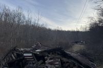 Undeveloped Land for sale in Wayne County, West Virginia