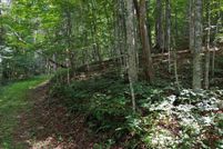 Homesite for sale in Pocahontas County, West Virginia