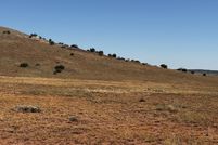 Undeveloped Land for sale in Apache County, Arizona