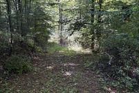Undeveloped Land for sale in Greenbrier County, West Virginia