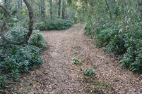 Land for sale in Alachua County, Florida