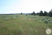 Undeveloped Land for sale in Stillwater County, Montana
