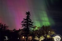 Land for sale in Daniels County, Montana