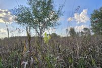 Farm and Ranch for sale in Isabella County, Michigan