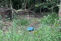 Land for sale in Lamar County, Texas