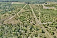 Land for sale in Jeff Davis County, Georgia