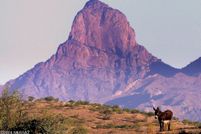 Land for sale in Pima County, Arizona