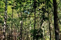 Homesite for sale in Van Buren County, Tennessee