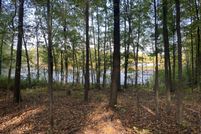Undeveloped Land for sale in Kent County, Michigan