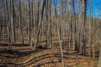 Undeveloped Land for sale in Carroll County, Virginia