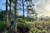 Land for sale in Baldwin County, Alabama