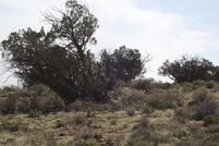 Undeveloped Land for sale in Coconino County, Arizona